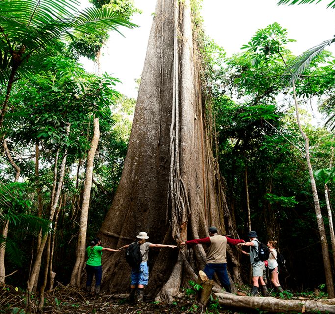 From Iquitos: Full Day Wild Life - Inclusions and Amenities