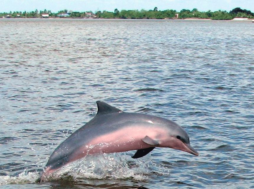 From Iquitos: Full Day Wild Life - Safety Restrictions