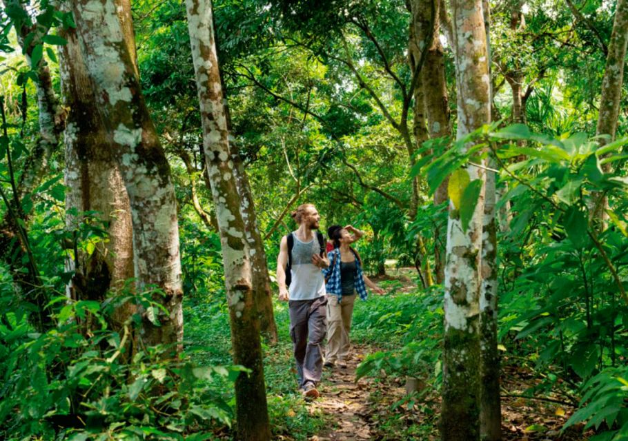 From Iquitos: Full Day Wild Life - Wildlife Observations
