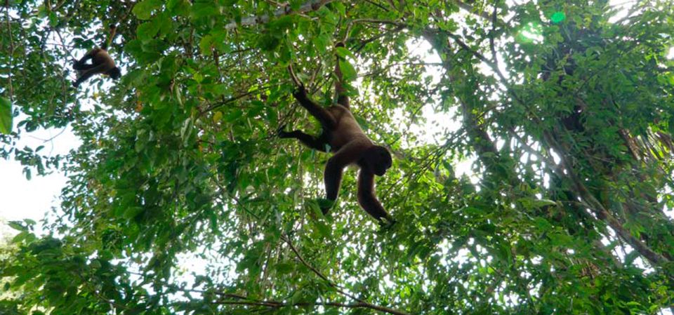 From Iquitos: Full Day Wild Life - Booking and Cancellation Policy