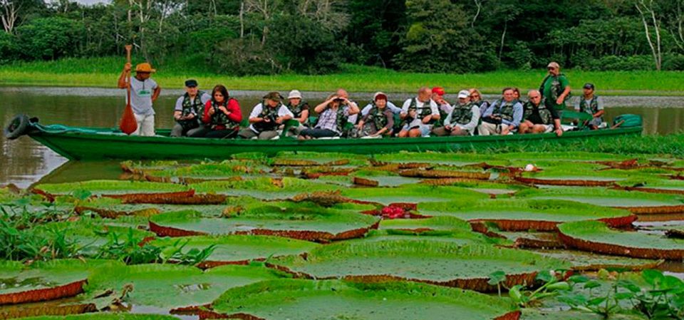 From Iquitos: Full Day Wild Life - Tips for Travelers