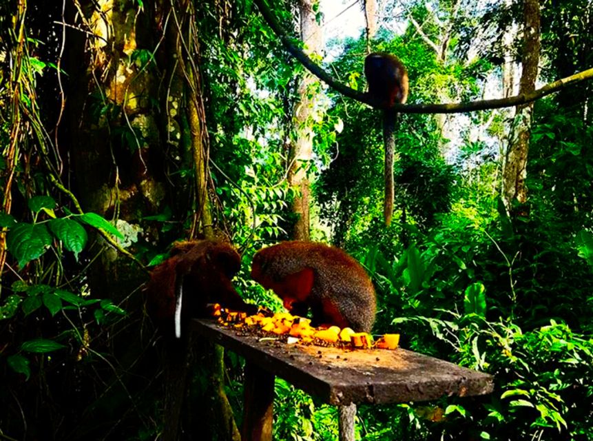 From Iquitos: Full Day Wild Life - Frequently Asked Questions