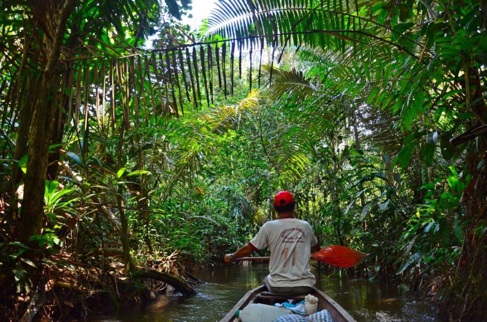From Iquitos || Navigate the Amazon River - Full Day || - Itinerary Details
