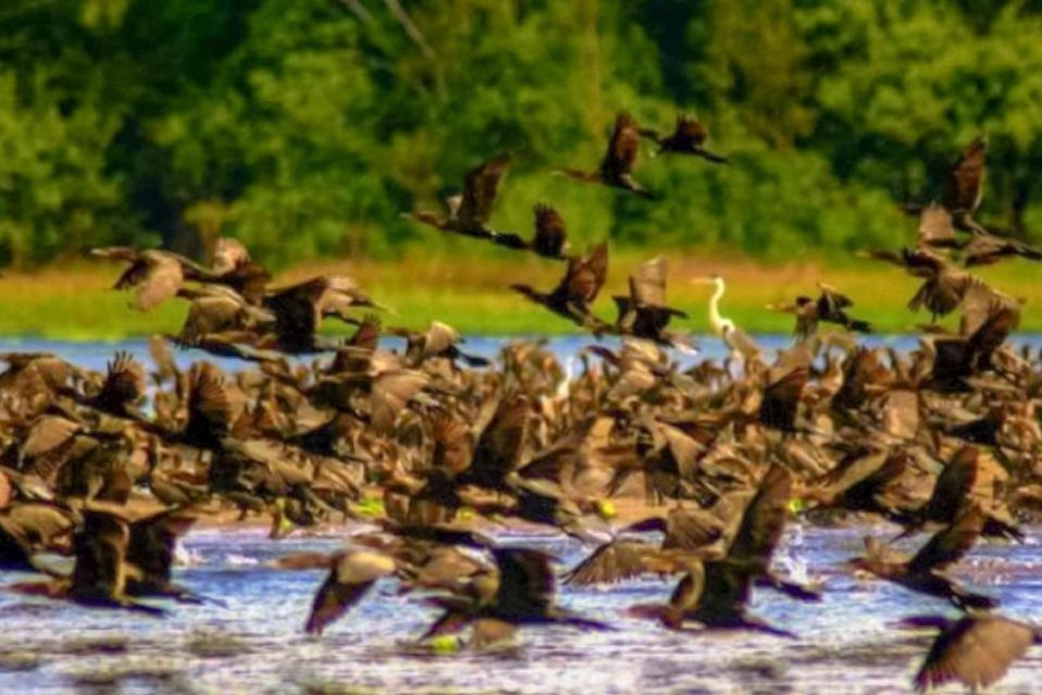 From Iquitos || Navigate the Amazon River - Full Day || - Customer Reviews