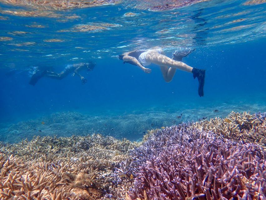 From Ishigaki: Hamajima and Taketomi Island Snorkel Trip - Booking and Cancellation