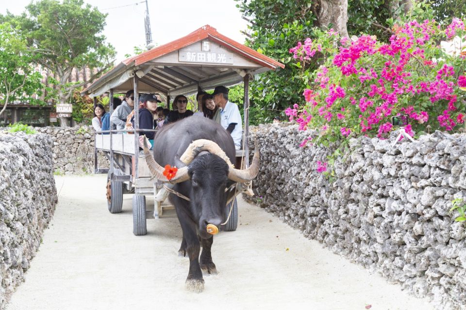 From Ishigaki: Hamajima and Taketomi Island Snorkel Trip - Frequently Asked Questions