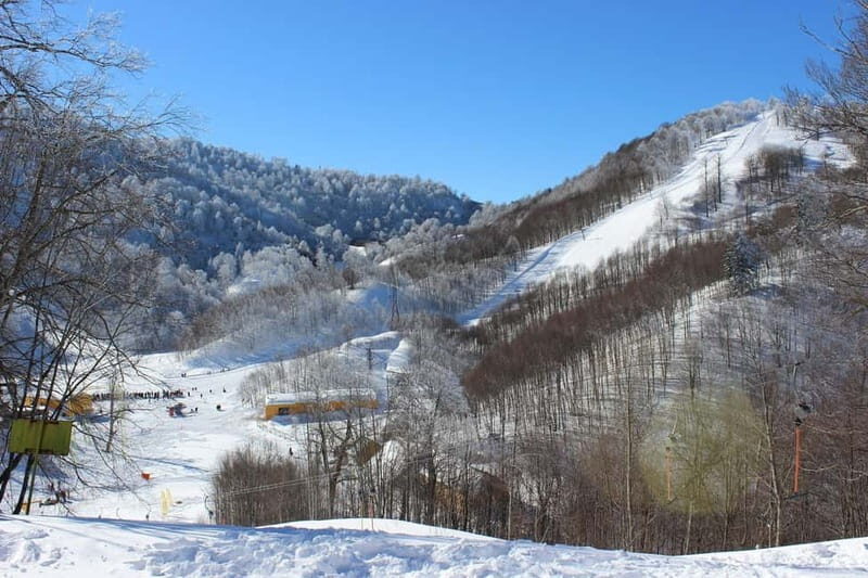 From Istanbul: Private Day Trip to Sapanca Lake and Maukiye - What Makes This Tour a Good Value
