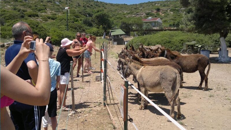 From Izmir: Full Day Boat Trip around Cesme with BBQ Lunch - Key Points