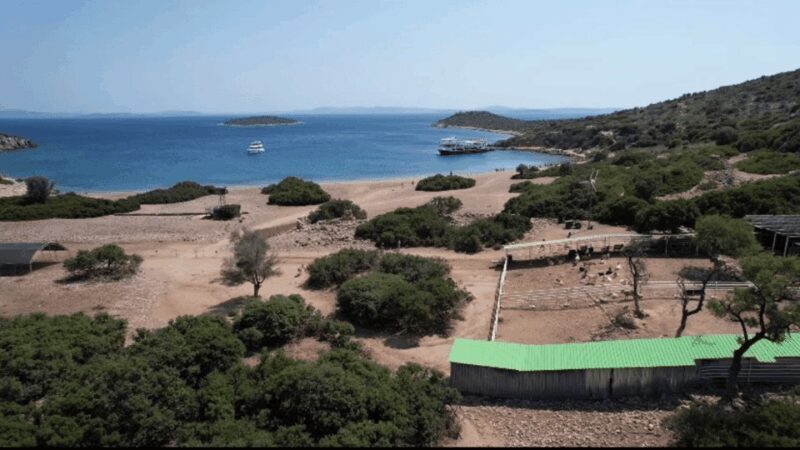 From Izmir: Full Day Boat Trip around Cesme with BBQ Lunch - The Sum Up