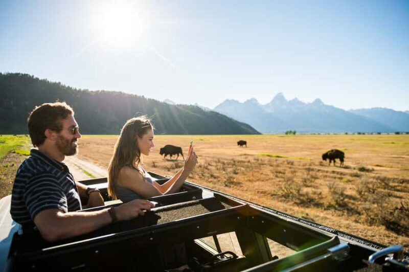 From Jackson: 4-Hour Eco Safari in Grand Teton National Park - The Itinerary: What to Expect on Your Eco Safari