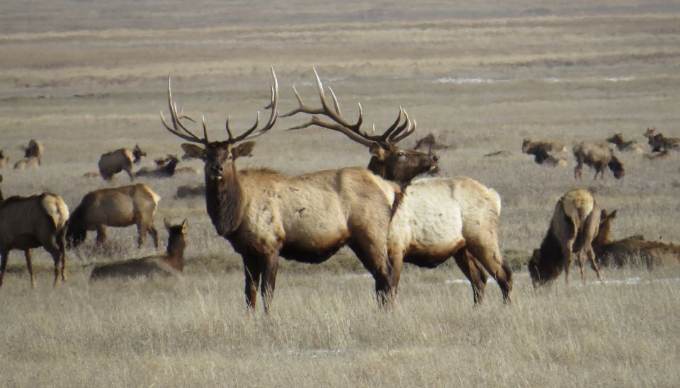 From Jackson Hole: Grand Teton National Park Sunrise Tour - Group Size and Cancellation