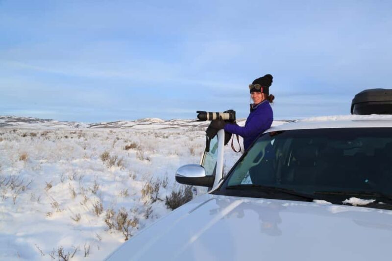 From Jackson Hole: Half-Day Grand Teton Winter Wildlife Tour - Practical Details and Tips