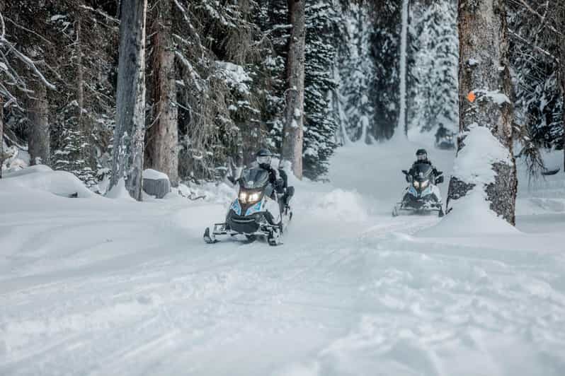 From Jackson: Yellowstone Grand Canyon Snowmobile Tour - Wildlife Sightings and Scenic Stops
