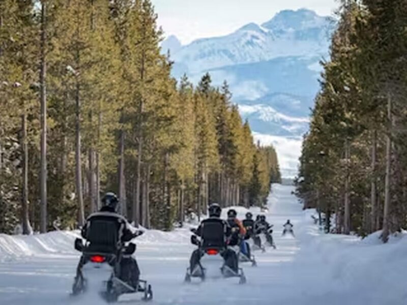 From Jackson: Yellowstone Grand Canyon Snowmobile Tour - The Meal and Gear