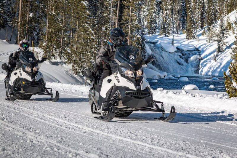 From Jackson: Yellowstone Grand Canyon Snowmobile Tour - Who Should Consider This Tour?