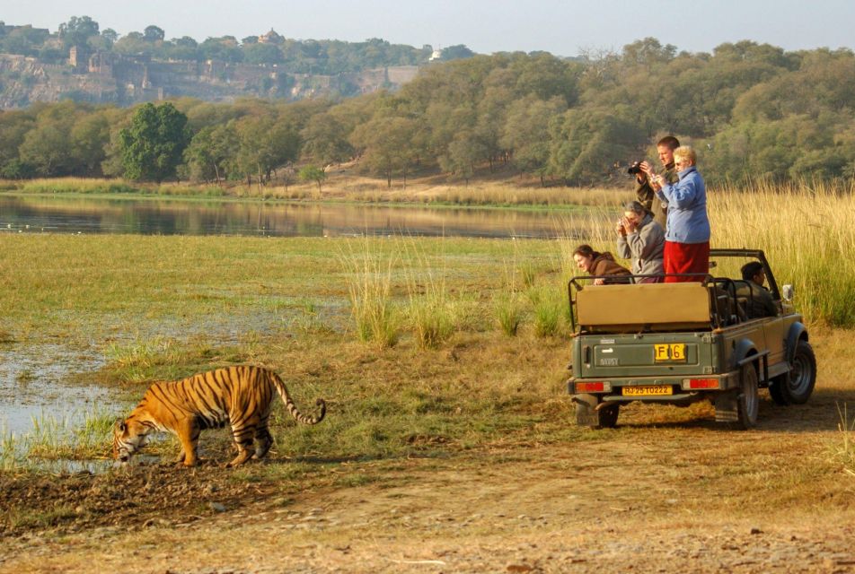 From Jaipur : 2 Days 1 Night Ranthambore Tiger Safari Tour - Booking and Cancellation Policies