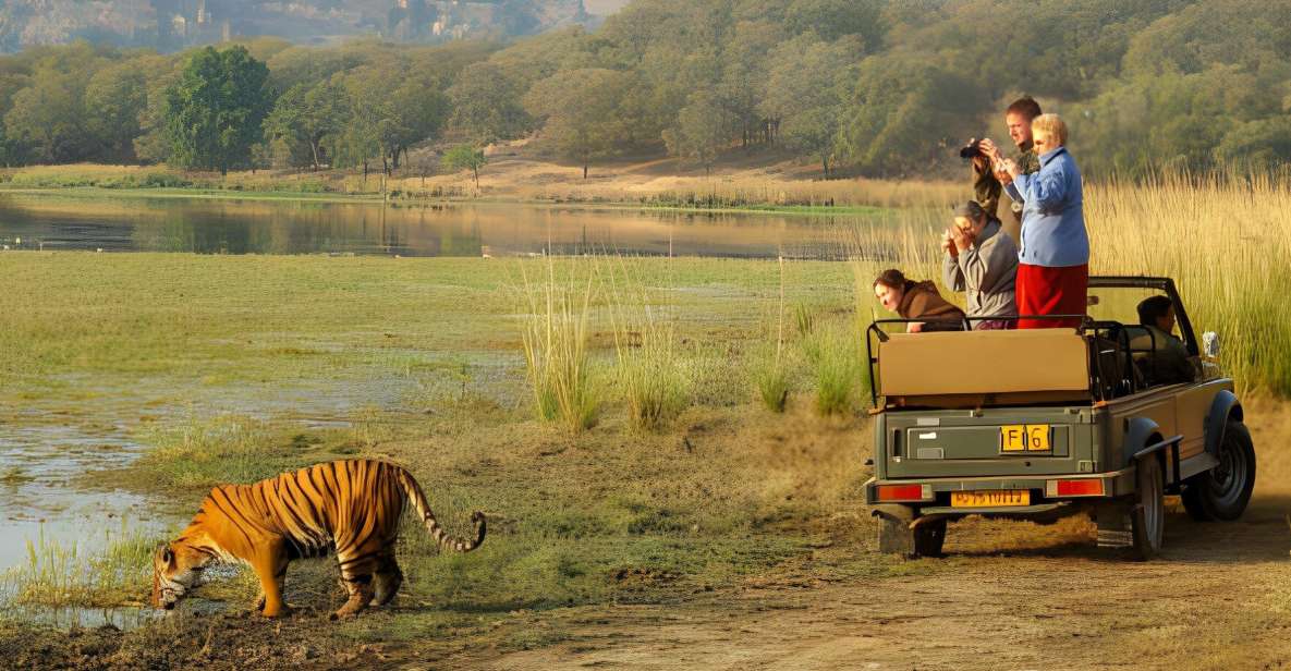 From Jaipur : 2 Days Ranthambore Tiger Safari Tour By Car - Detailed Itinerary