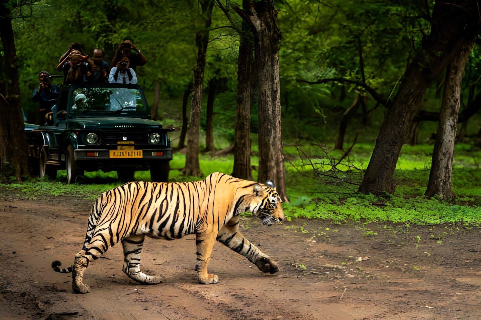 From Jaipur : 2 Days Ranthambore Tiger Safari Tour By Car - Important Travel Information