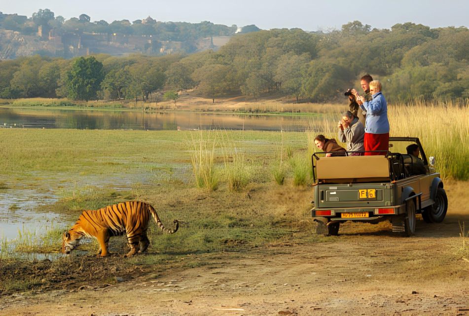 From Jaipur : 2 Days Ranthambore Tiger Safari Tour By Car - Frequently Asked Questions