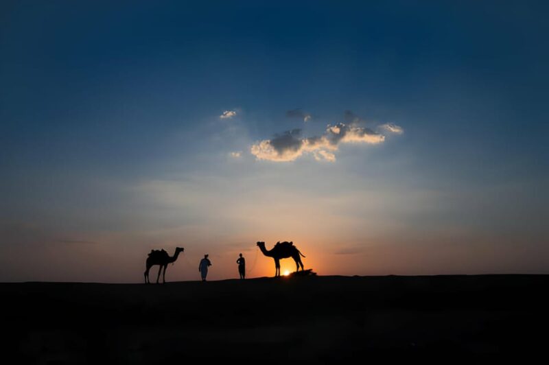 From Jaipur : 6 Days Private Rajasthan Tour With Hotel - Included Services