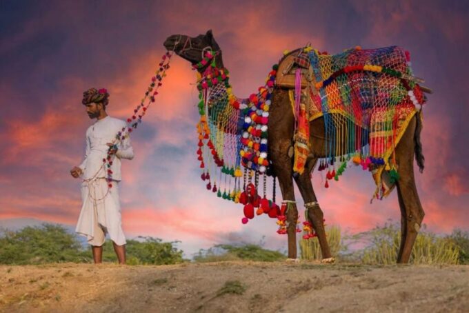 From Jaipur: One-Day Trip From Jaipur to Pushkar - Best Time to Visit