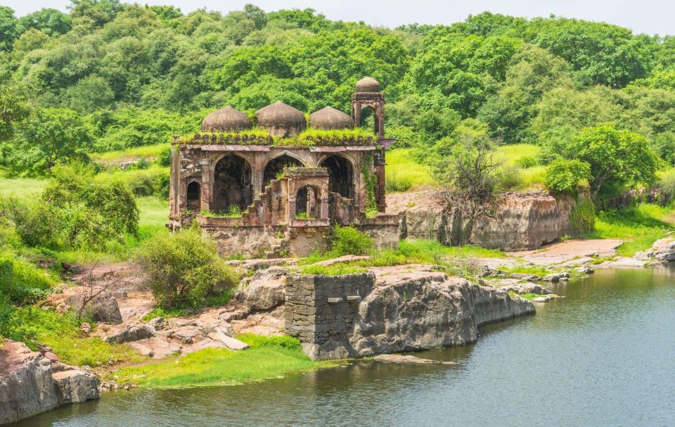 From Jaipur: Private Ranthambore Day Trip With Tiger Safari - Frequently Asked Questions