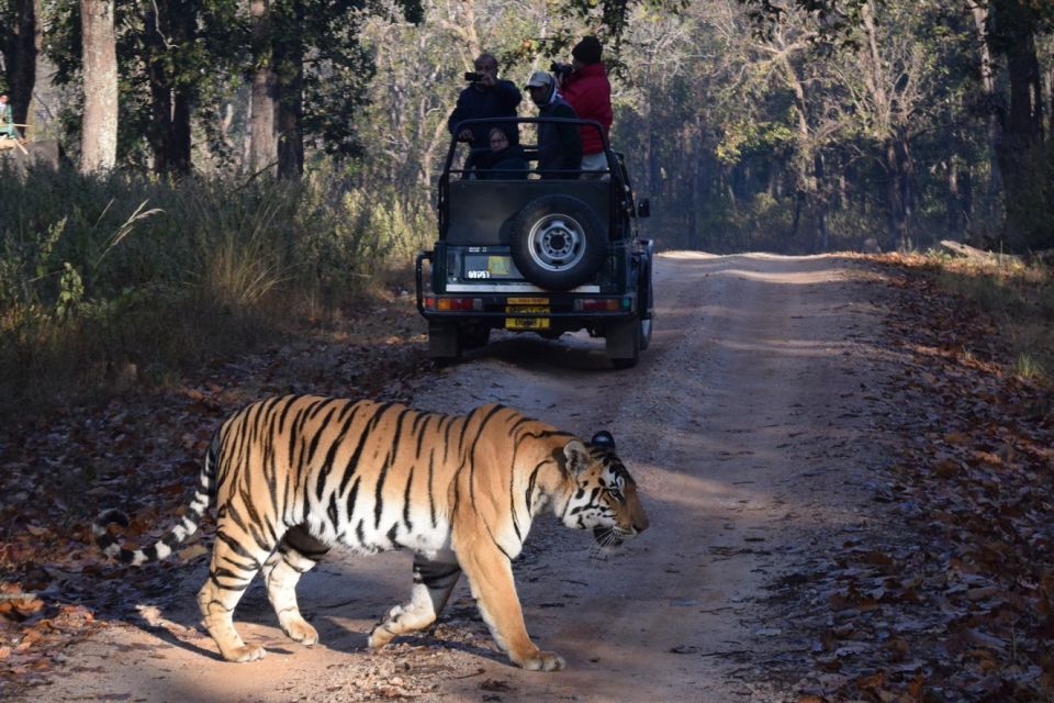 From Jaipur: Ranthambore Private Day Trip With Tiger Safari - Tips for a Successful Safari
