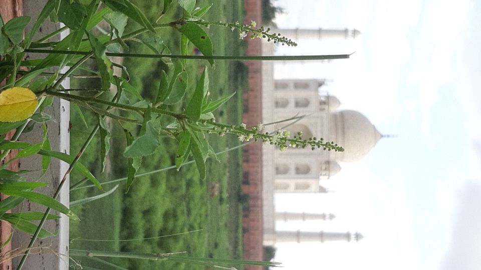 From Jaipur: Taj Mahal Sunrise and Agra Fort Private Trip - Important Information