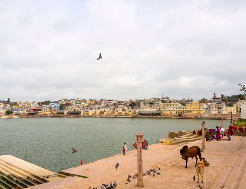 From Jaipur to Udaipur via Pushkar Private Tour by Cab - Day 01: Arrival in Jaipur