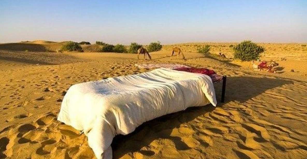 From Jaisalmer: Private Trip Under Stars With Camel Safari - Key Points