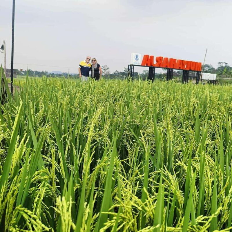 From Jakarta: Bogor Botanical Garden, Ricefield, & Waterfall - Final Thoughts: Is It Worth It?