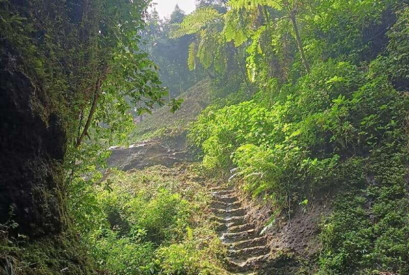 From Jakarta: Bogor Botanical Garden, Ricefield, & Waterfall - FAQ