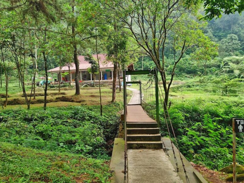 From Jakarta: Botanical Garden, Waterfall, Wayang Puppet - Inclusions