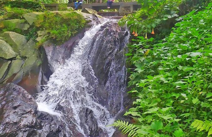 From Jakarta: Botanical Garden, Waterfall, Wayang Puppet - Discovering Media Bogor