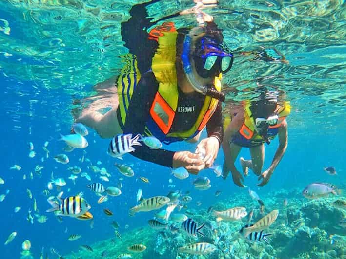 From Jakarta : Private Tour 5 Days 4 Night Jakarta Explore - Itinerary Highlights: Day 3