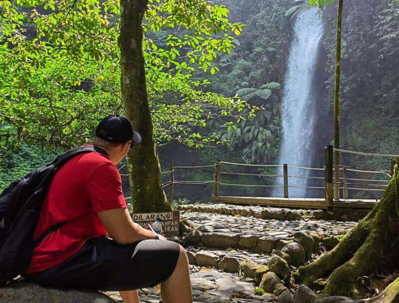 From Jakarta: Situ Gunung Suspension Bridge & Waterfall Tour - Final Thoughts: Is This Tour for You?