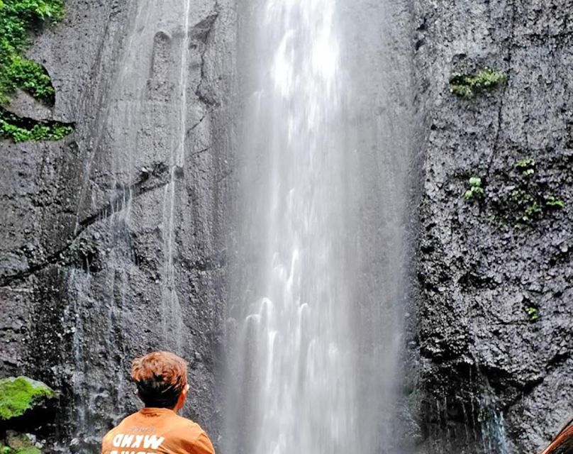 From Jakarta: Waterfall, Botanical Garden, Puppet Show - Bogor Botanical Gardens