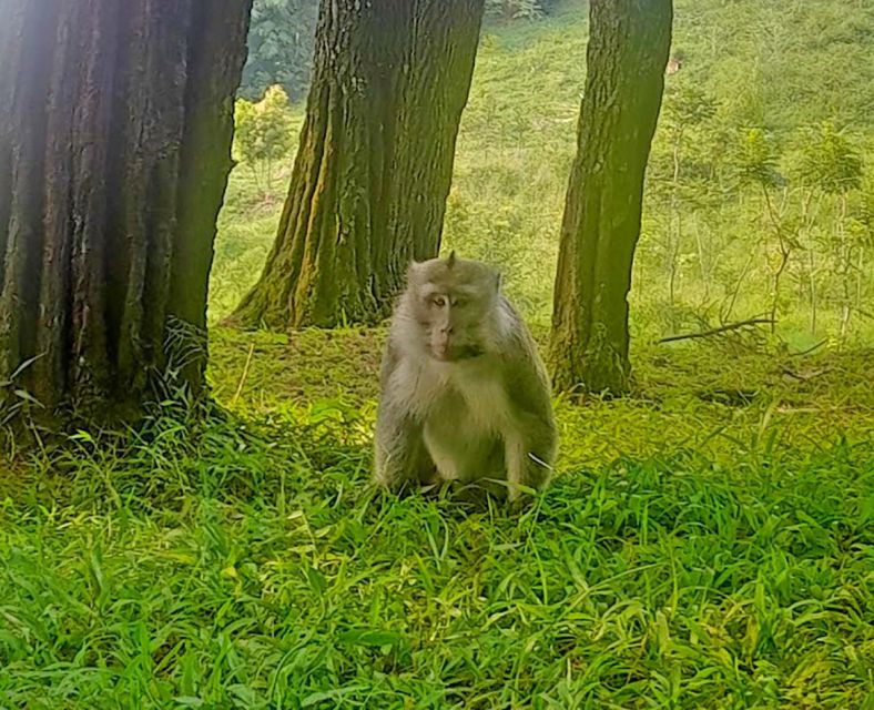 From Jakarta: Waterfall, Botanical Garden, Puppet Show - Inclusions and Pricing