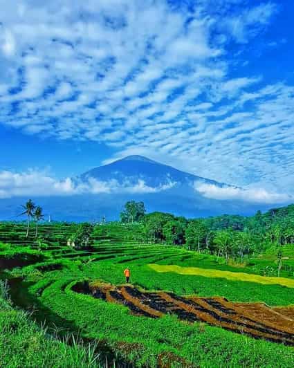From Jakarta : Wonderful 3 Days With Tour Guide Italia - Private Transportation