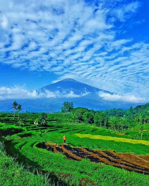 From Jakarta : Wonderful 3 Days With Tour Guide Italia - Cultural Insights