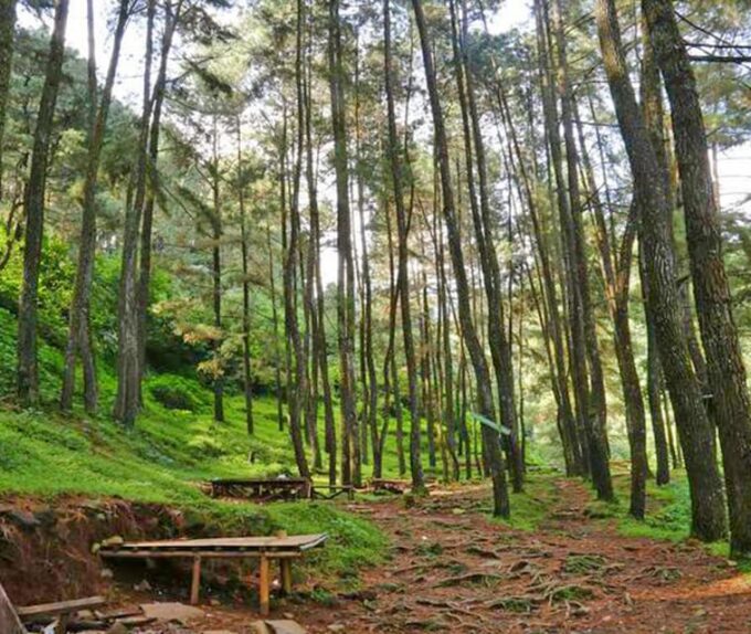 From Jakarta : Wonderful Jakarta In 2 Days Private Tour - Bandung Volcano and Hot Spring