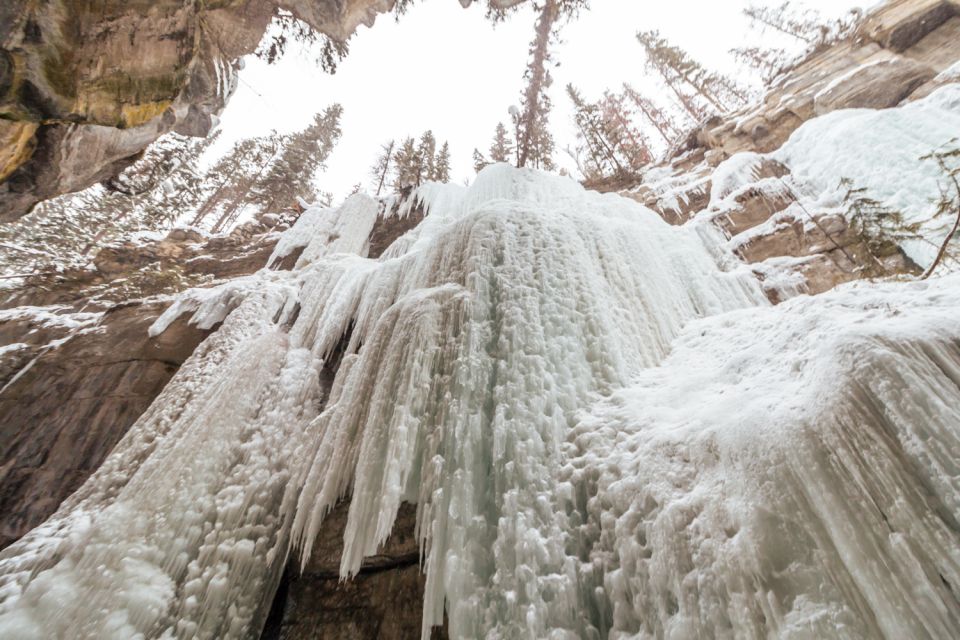 From Jasper: Maligne Canyon Guided Ice Walking Tour - Tour Highlights