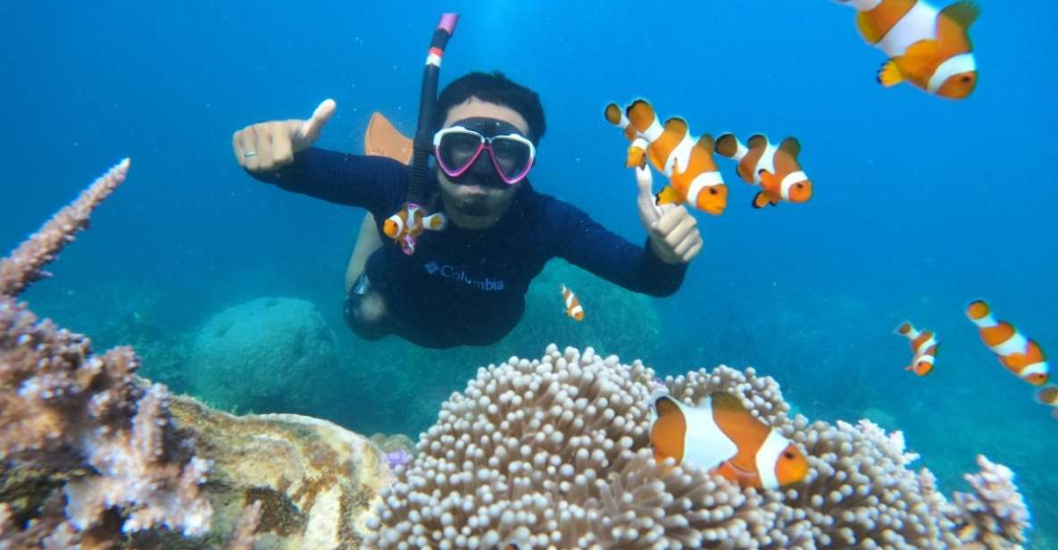From Jepara: Karimunjawa Archipelago 3-Day Snorkeling Tour - Key Points