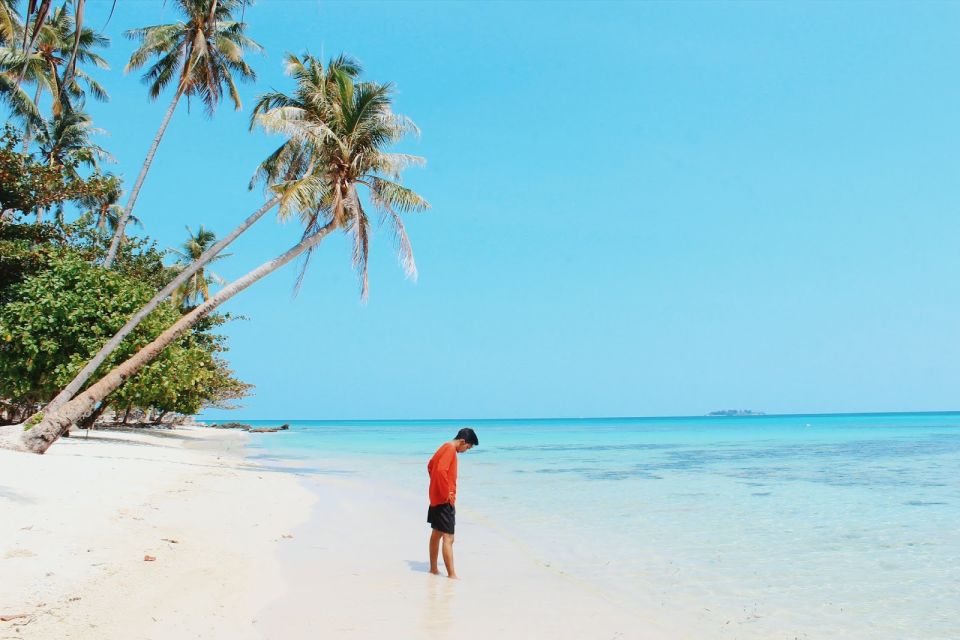 From Jepara: Karimunjawa Archipelago 3-Day Snorkeling Tour - Itinerary Day 1