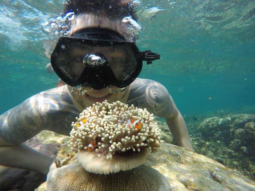 From Jepara: Karimunjawa Archipelago 3-Day Snorkeling Tour - Frequently Asked Questions