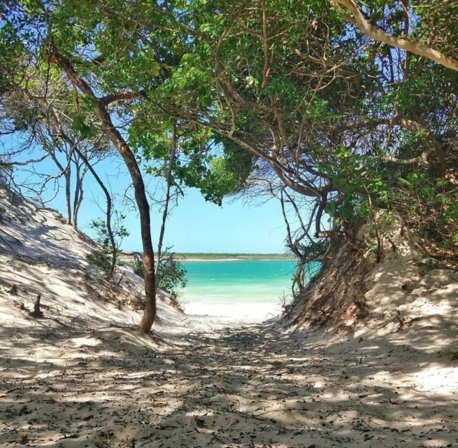 From Jericoacoara: Preá Beach and Paradise Lagoon Tour - Travel Tips