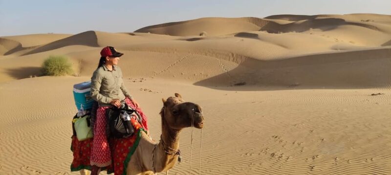 From Jodhpur: 2 Day Jaisalmer Tour With Nomadic Camel Safari - Tour Overview and Pricing