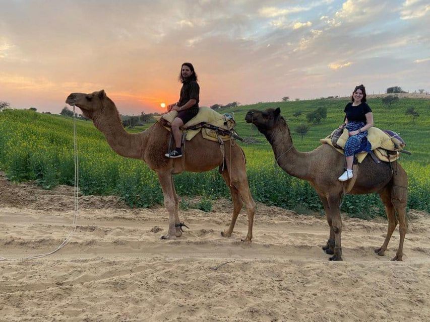 From Jodhpur: Overnight Stay in Desert With Camel Safari - Tips for Travelers