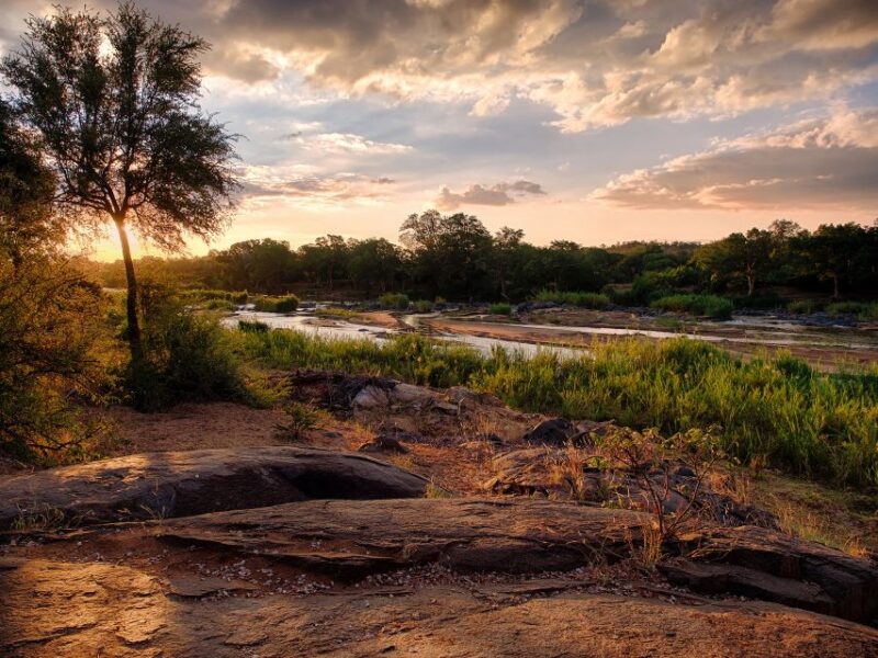 From Johannesburg: 3-Day Budget Kruger National Park Safari - Good To Know