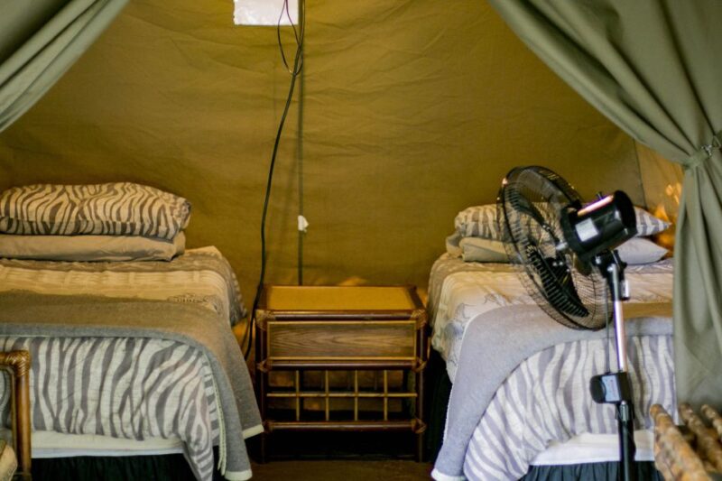 From Johannesburg: 3-Day Budget Kruger National Park Safari - Arrival at Tremisana Game Lodge